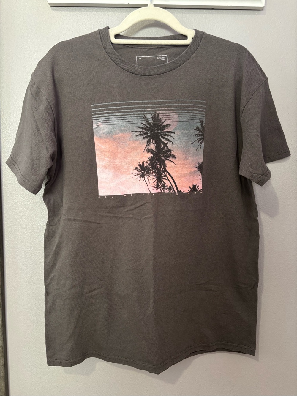 Ezekiel Men's Graphic Palm-Print Crewneck T-Shirt - Gray